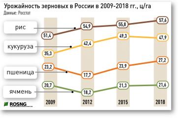 В России ожидается рекорд урожая кукурузы